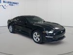 2019 Ford Mustang I4