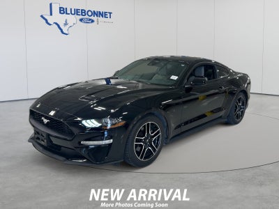 2022 Ford Mustang I4CP