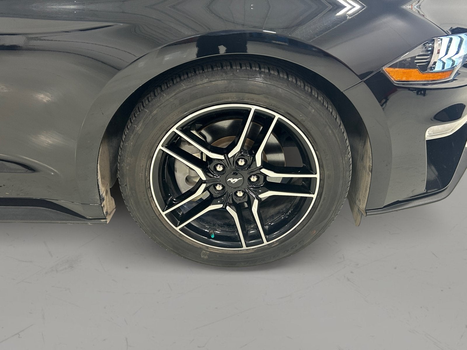 2022 Ford Mustang I4CP