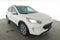 2021 Ford Escape Titanium Hybrid