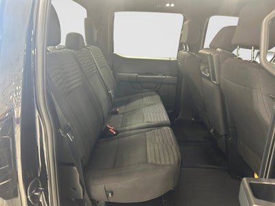 2023 Ford F-150 STX