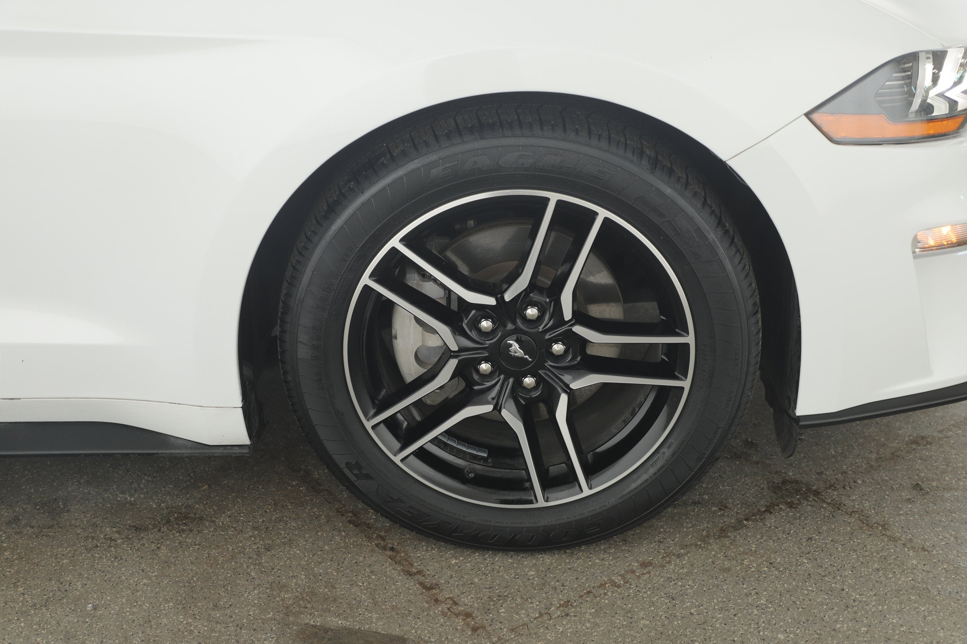 2023 Ford Mustang EcoBoost