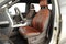 2018 Ford F-150 Base