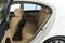2011 Honda Accord Sdn EX-L